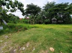 IMG-20221111-WA0013(1)