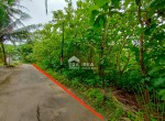 tanah pengasih kulonprogo