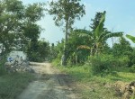 tanah trihanggo sleman