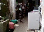 65c29caf-9026-4626-8842-200670945e94
