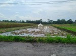 tanah jl kapten haryadi