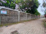 tanah pandowoharjo (2)