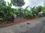 tanah ploso kuning