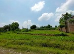 54e0d3f4-6a07-4600-8f17-9c19365318b5