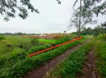 tanah babadan