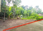 tanah cibuk lor 620m
