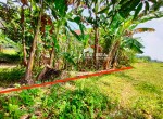 tanah jl jogja solo jogonalan klaten (1)