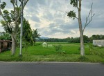 tanah nanggulan kulonprogo