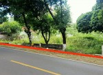 tanah nitikan wonosari
