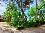tanah plosokuning 1000m