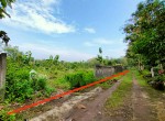 tanah sentolo