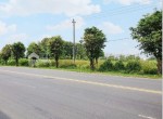 481 - Lia Imelda - Jual - Tanah Jl Adi Sucipto Blulukan Colomadu Rp 8 jt per m2