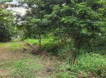 561 LIA IMELDA JUAL TANAH Papahan Tasikmadu Rp 2,9 M c