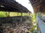 IMG-20230816-WA0043