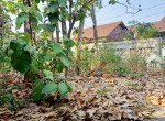 IMG-20230826-WA0042
