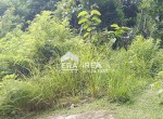 end tanah bangunjiwo kasihan