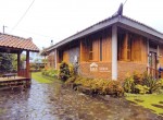 sekar kemuning