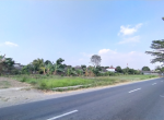 jadi 2