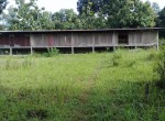 IMG-20240224-WA0131