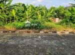 217 LIA IMELDA JUAL TANAH Madegondo Grogol Rp 5 Jt per m2
