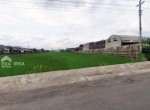 225 lia imelda jual tanah Dagen Jaten Rp 2 jt per m2