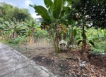 dijual-tanah-solo