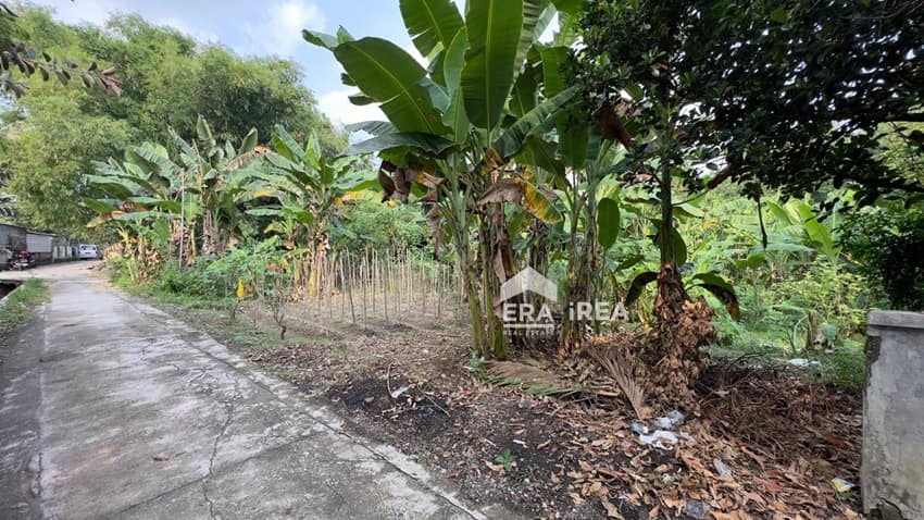 dijual tanah solo