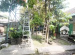 DJI_20240807132016_0390_D
