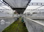 ruang-usaha