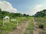 JUAL-RUMAH+TANAH-KRA3