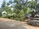dijual-tanah-murah-di-boyolali