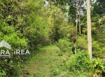 tanah-dijual-karanganyar