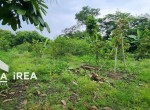 tanah-dijual-di-karanganyar