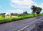 dijual-tanah-murah-di-boyolali