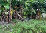 jual-tanah-di-solo