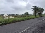 tanah-dijual-di-boyolali