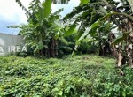 tanah-murah-di-solo