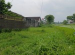 IMG_20250201_130807_2