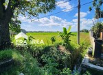 dijual-tanah-di-sragen