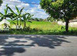 info-tanah-dijual-di-sragen