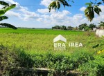 tanah-dijual-di-sragen