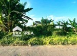 tanah-dijual-di-sukoharjo