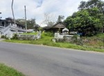 jual-beli-tanah