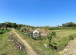 dijual-tanah-di-sambi