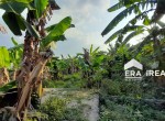jual-tanah-gondangrejo