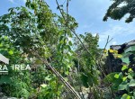 tanah-strategis-dijual